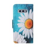 Peňeženkové kožené pouzdro na Samsung Galaxy S10e - Chrysanthemum