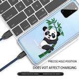 Gumový kryt na Samsung Galaxy A31 - Panda